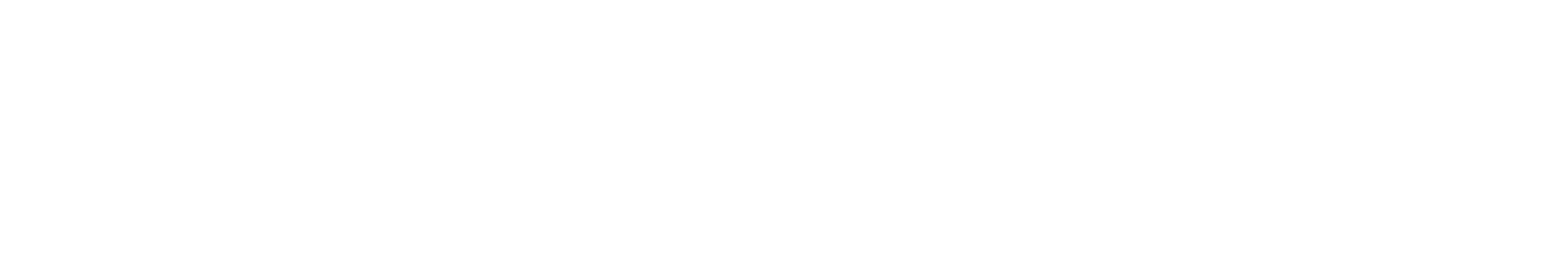 C1Security Logo